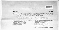 Discula kriegeriana image